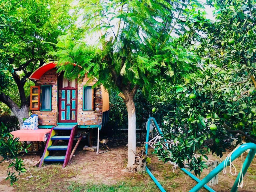 Saba Apart Aparthotel Kemer Esterno foto
