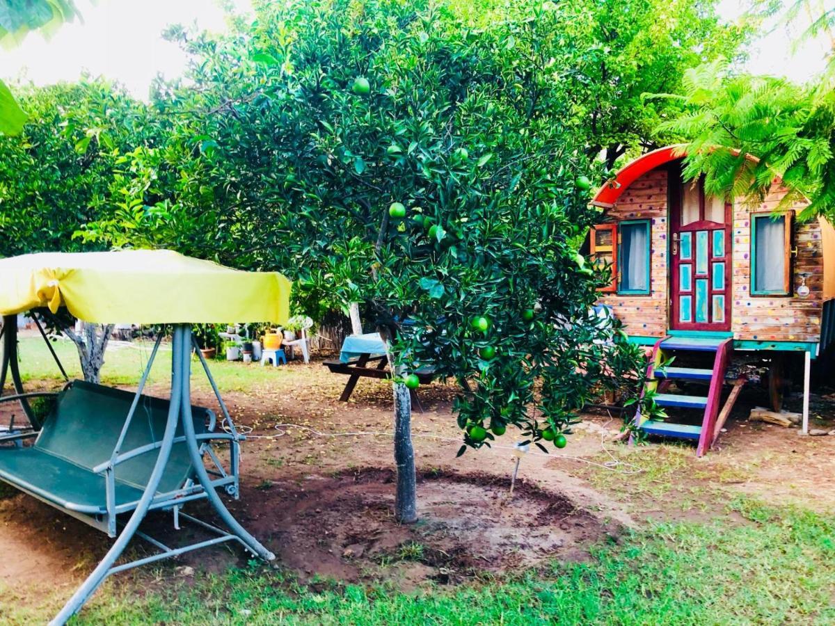 Saba Apart Aparthotel Kemer Esterno foto